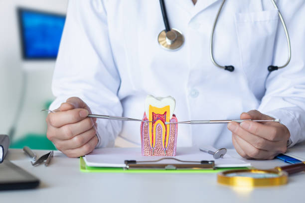 Best Emergency Broken Tooth Repair in State Line, PA